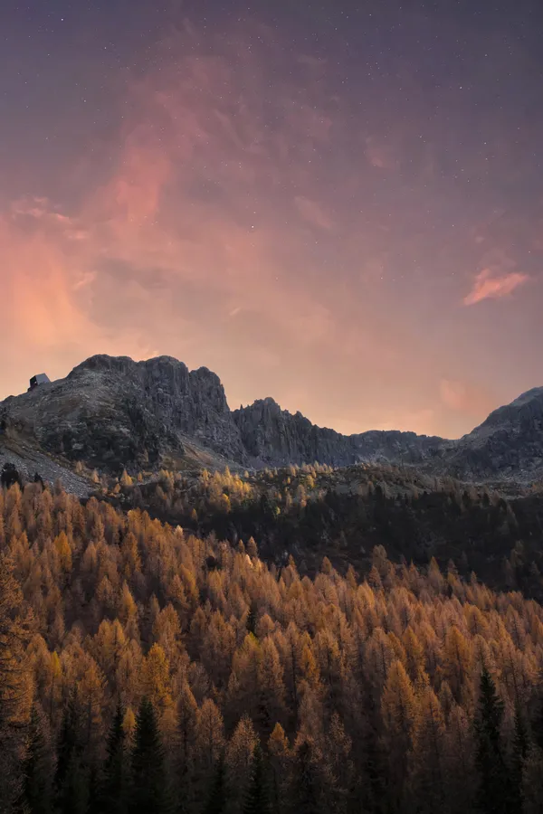 Nature Background