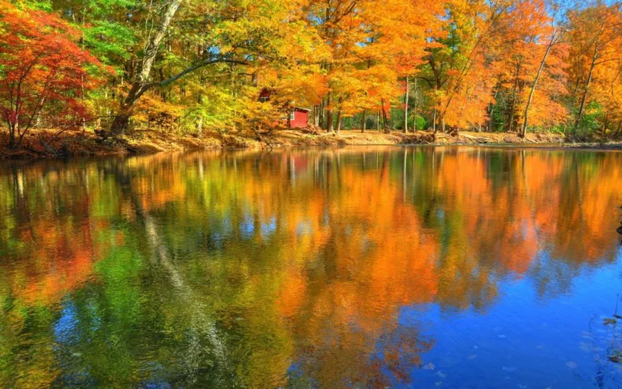 Lake Reflection Fall Desktop