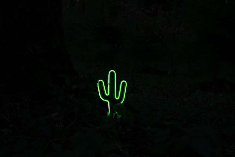 Cacto Neon Brilhante em Floresta Escura