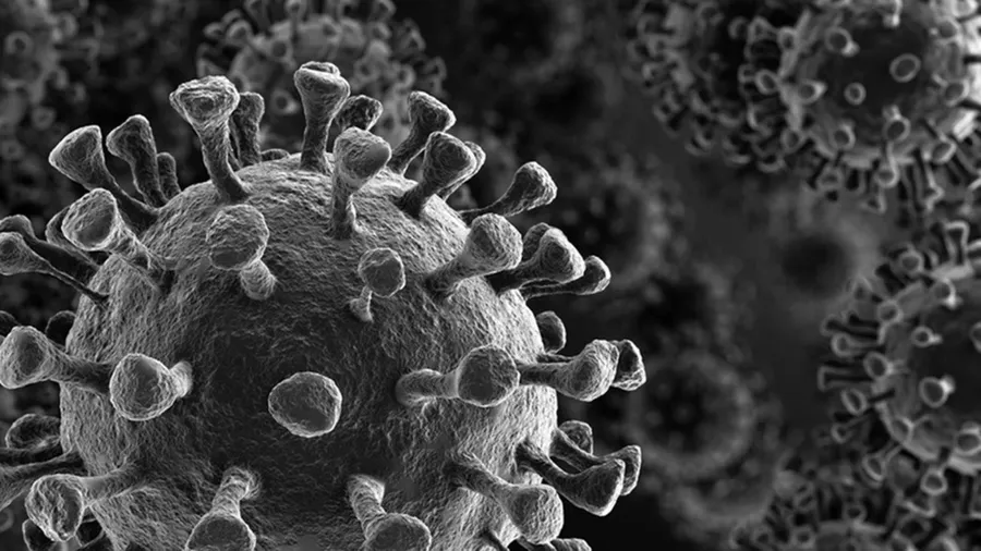 Coronavirus Greyscale Visual wallpaper 