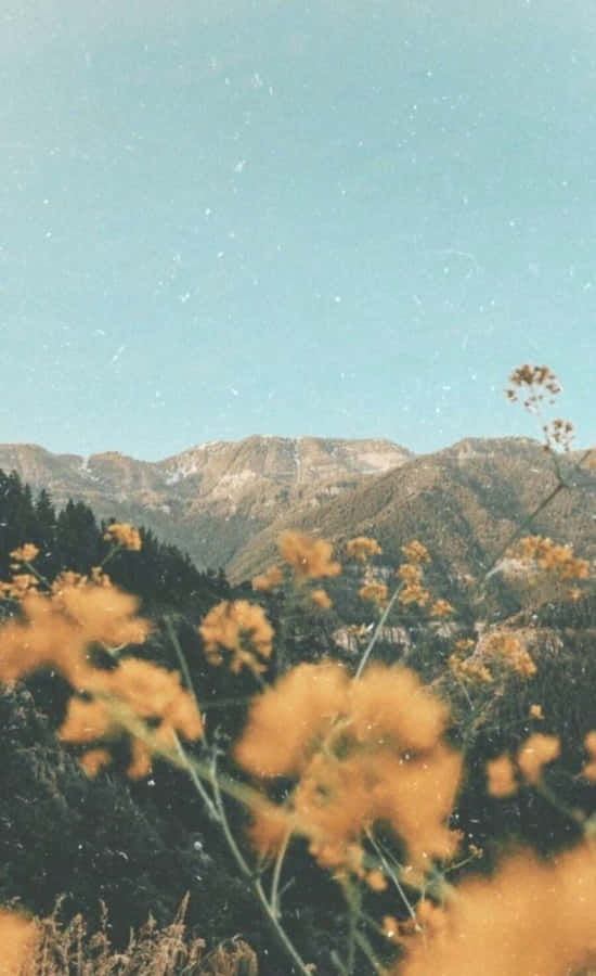 90erVintage Retro Ästhetik 900 x 1473 Hintergrundbild
