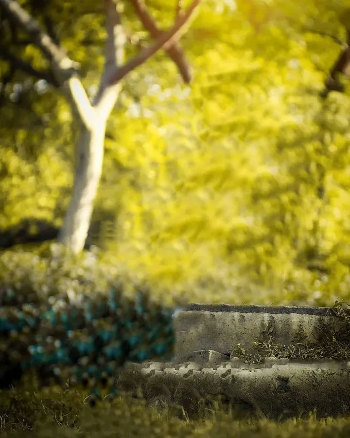 Blurry Background