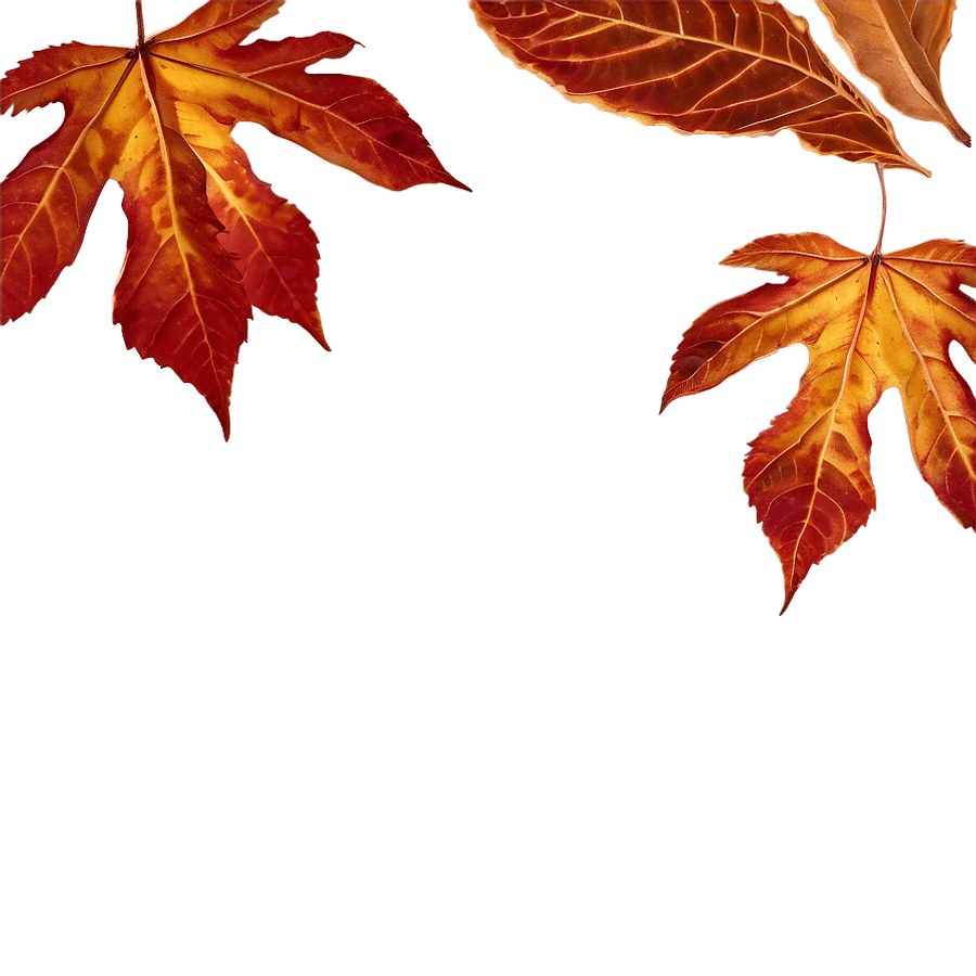 Crisp Autumn Leaves PNG 42