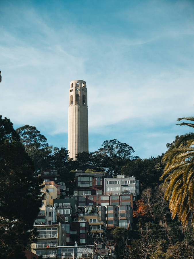 DieSehenswürdigkeiten von San Francisco genießen: Coit Tower mit einer herrlichen Sommerkulisse