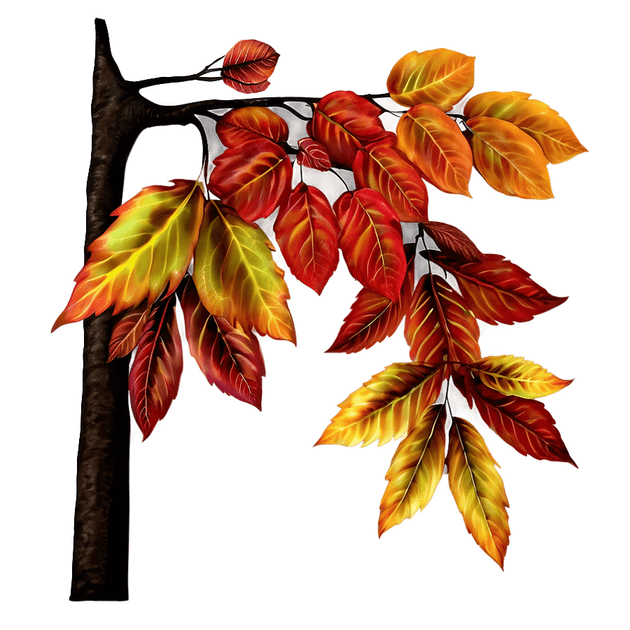Autumn Leaves Branch PNG 05242024
