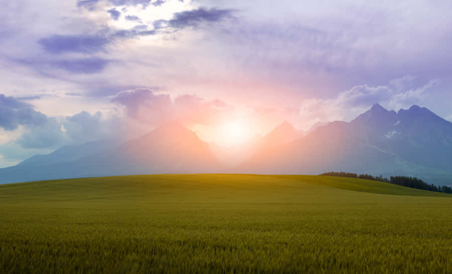 Sommerlandschaft9068 x 5494 Hintergrundbild
