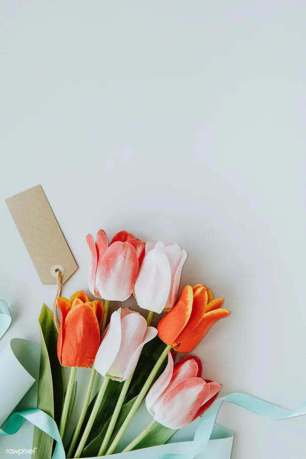 Tulip background