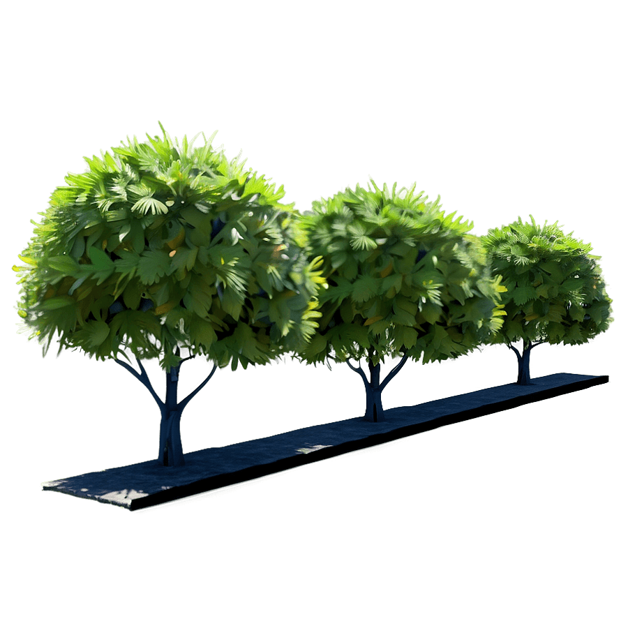 Bushes in Park PNG 50