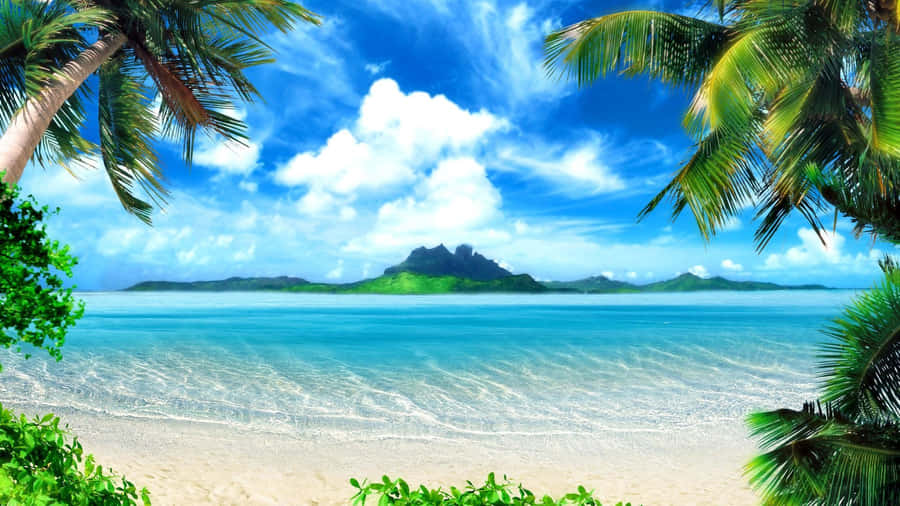 Ilhatropical, palmeiras, praia, Havaí.