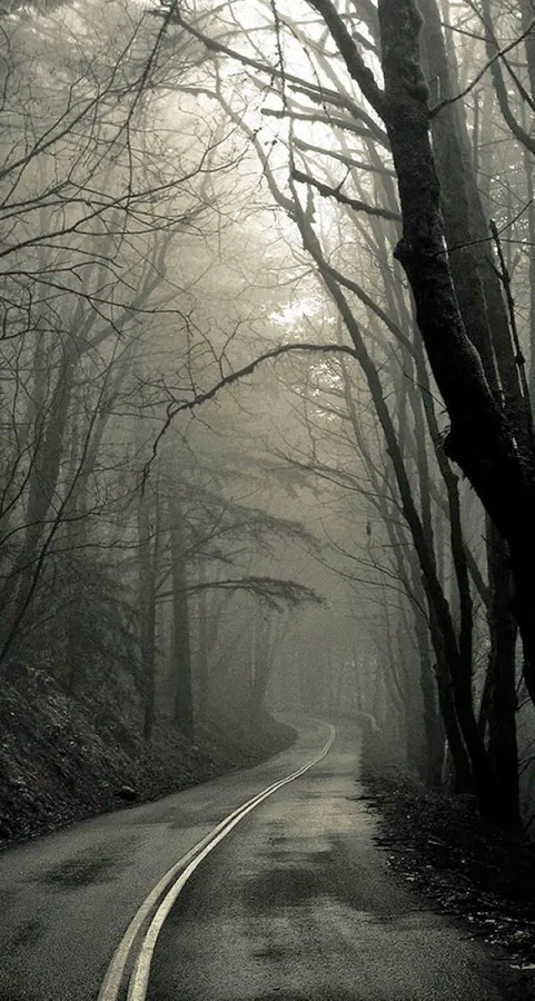 Horror Iphone