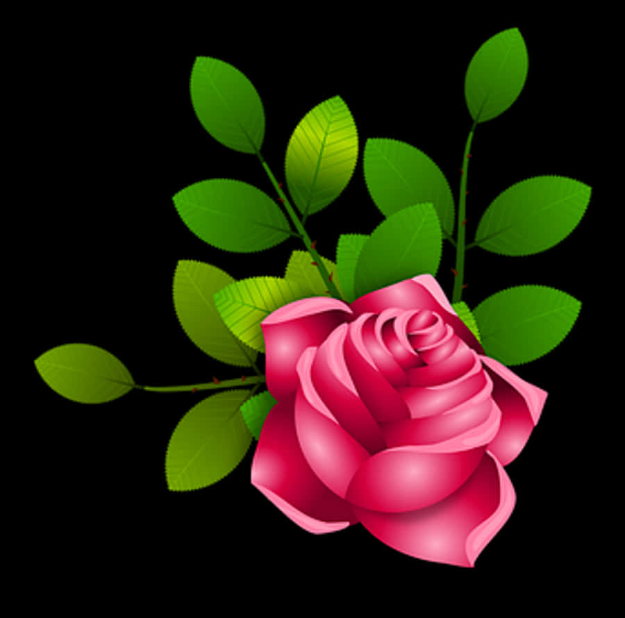 Vibrant Pink Rose Vector Illustration