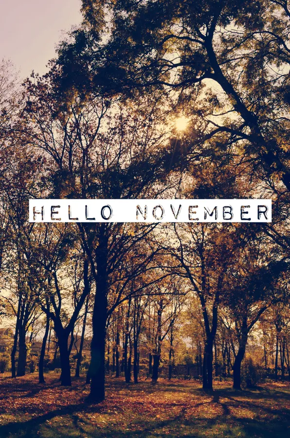 November Iphone