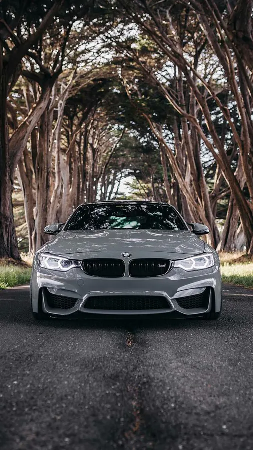 Bmw Background