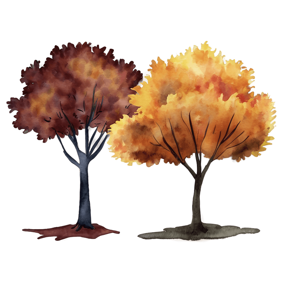 Watercolor Fall Tree PNG 05262024