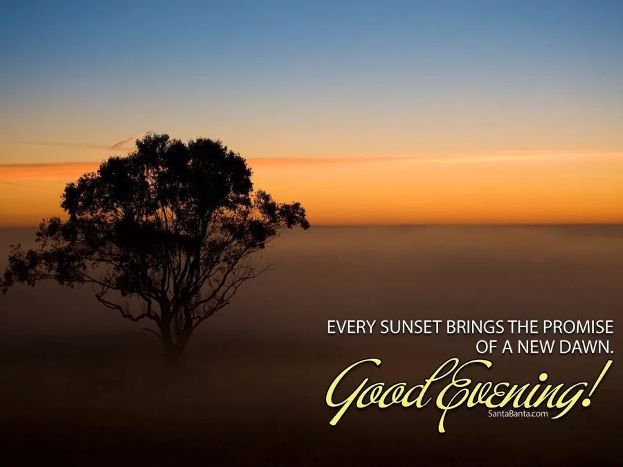 Good Evening Tree
