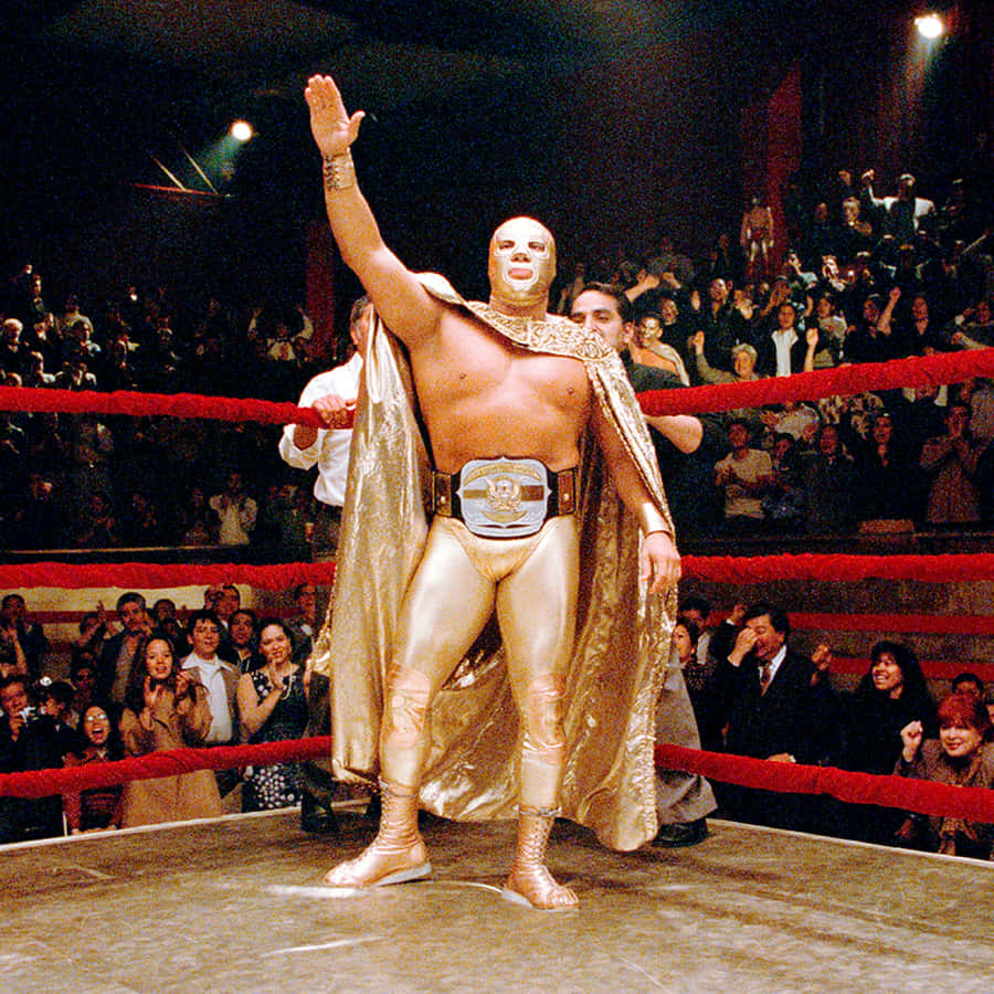 Luchador Silver King Seier Pose