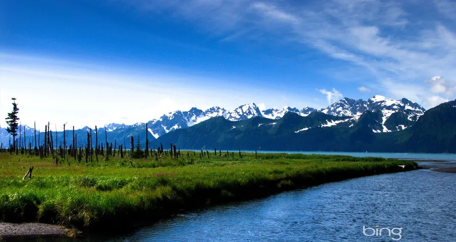 Bing background
