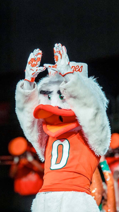 Download University Of Miami Mascot On Field Wallpaper | Wallpapers.com