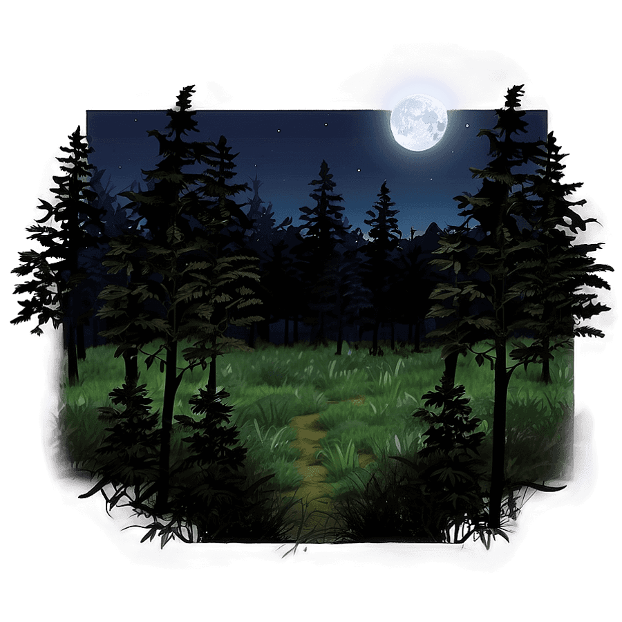 Dark Forest Moonlight Scene PNG fuc