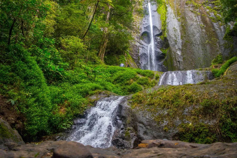 Nature Background