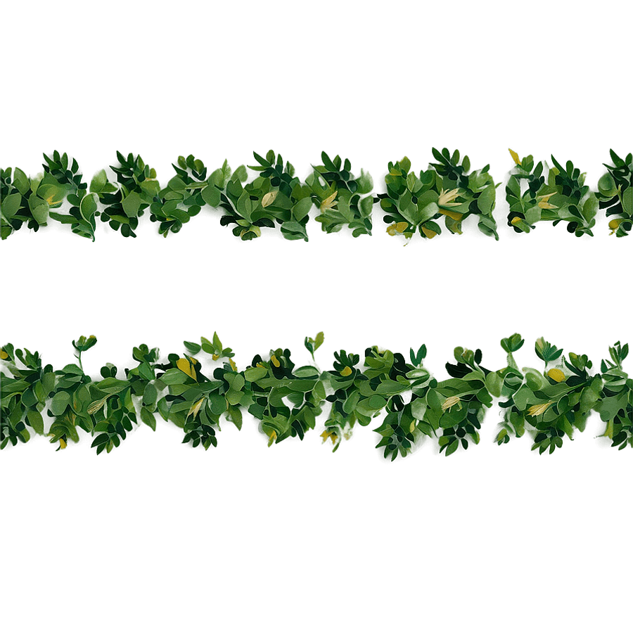 Nature Borders PNG 05262024