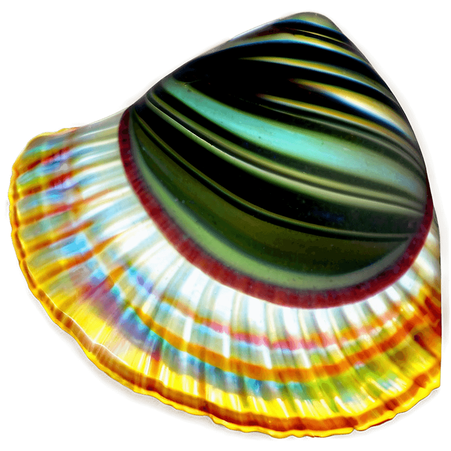 Exotic Shell PNG 55