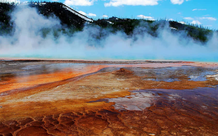 Papelde parede Geysers de Yellowstone 2560 x 1600 amarelo.