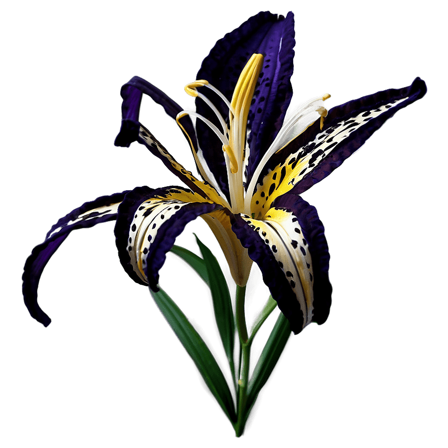 Majestic Tiger Lilies PNG 85