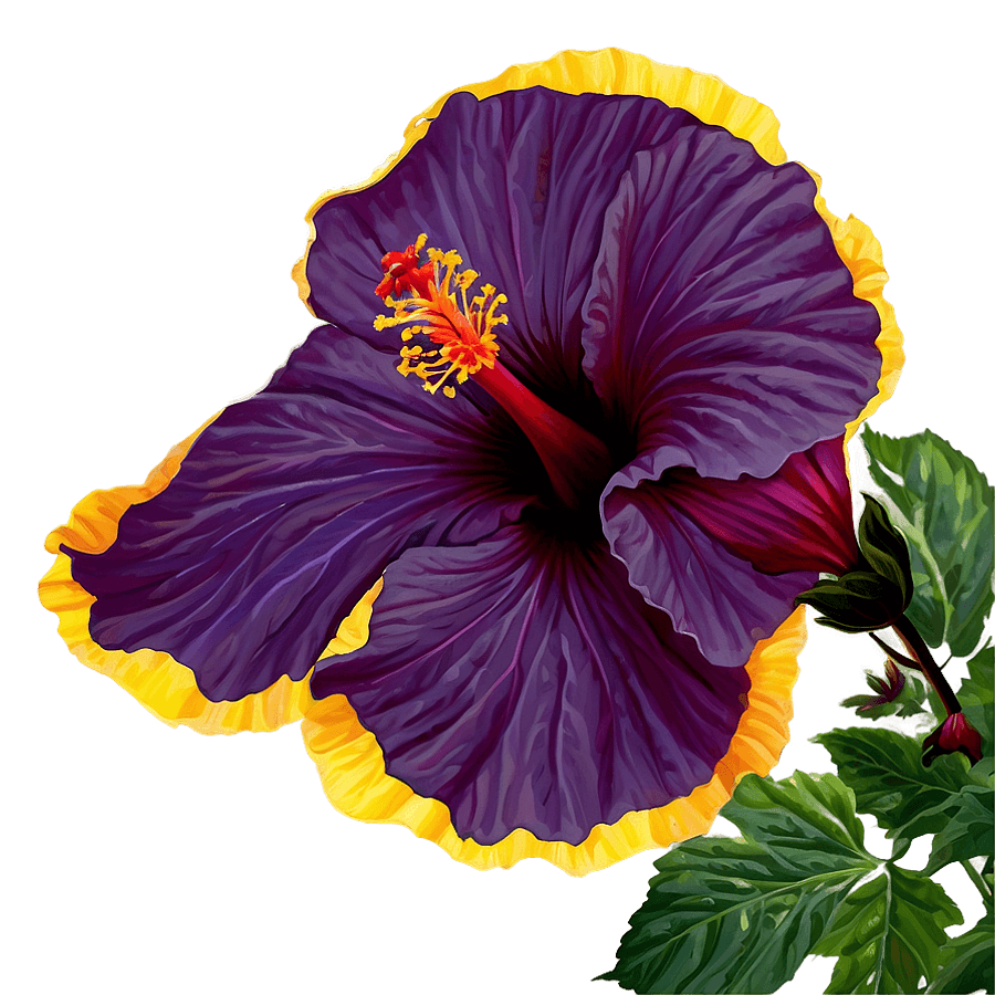 Hibiscus Sunset Serenade PNG roo