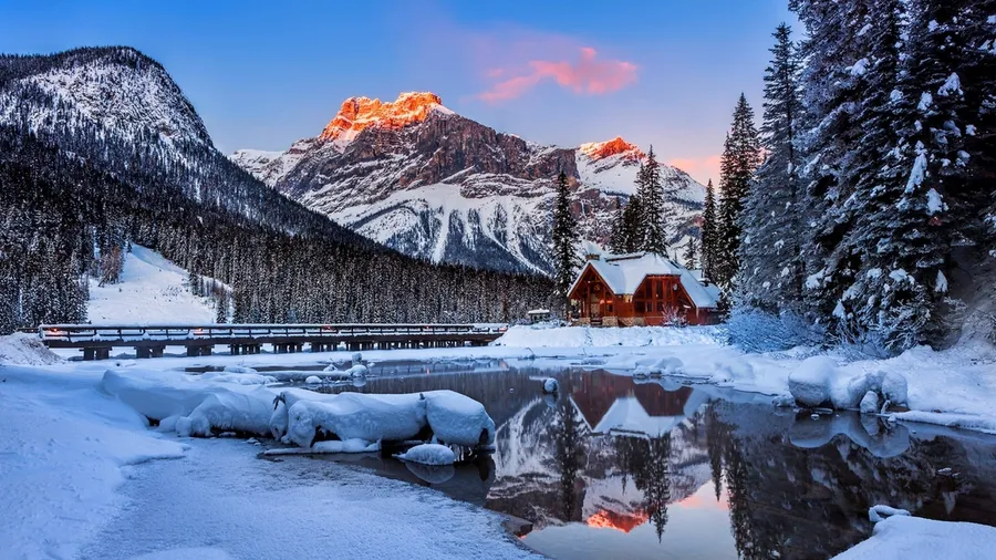 Best Winter background