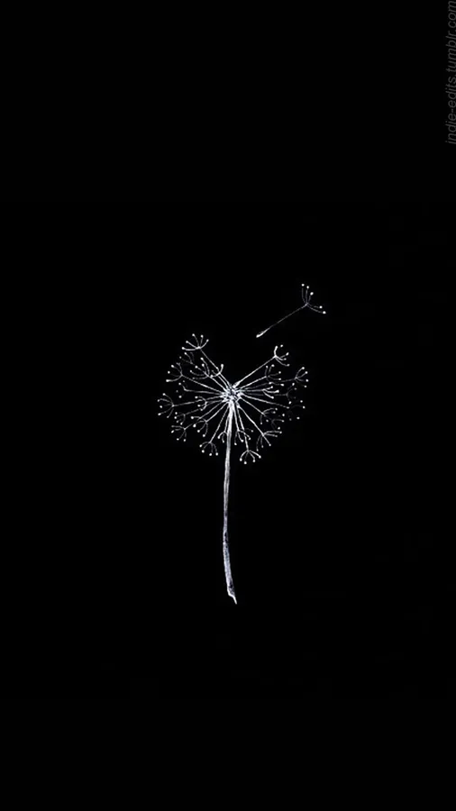 Cute Simple Dandelion