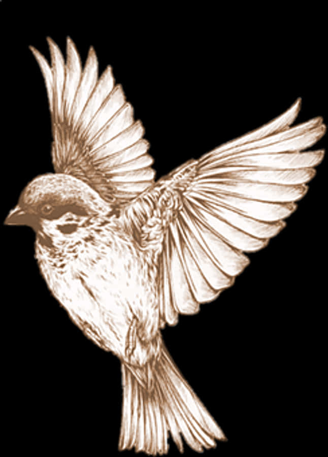 Bronze Sketch Sparrow In Flight