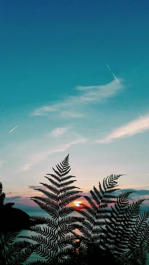 Cool Iphone Lock Screen