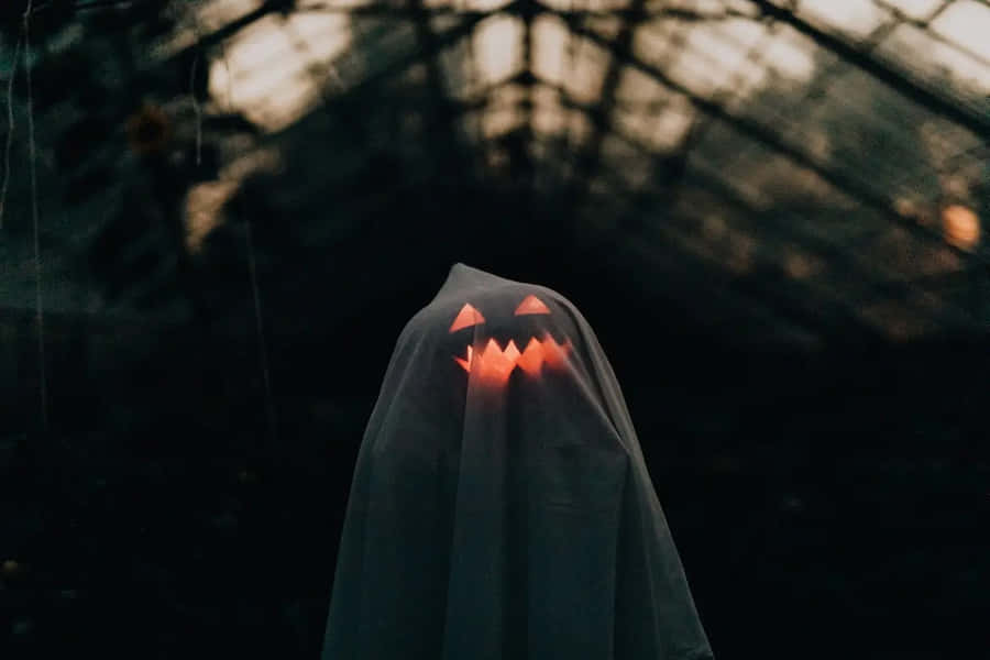 Fantasma di Zucca Spettrale in Serra