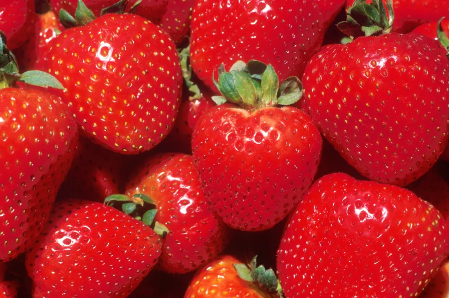Strawberry background