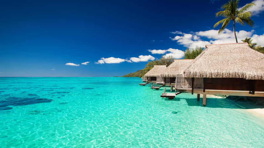 Tropische Überwasser-Bungalows Kristallblaues Meer