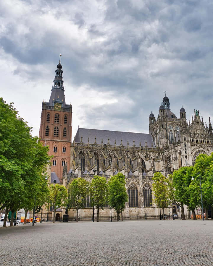 Piazza di Pietra della Sint Janskathedraal di Den Bosch