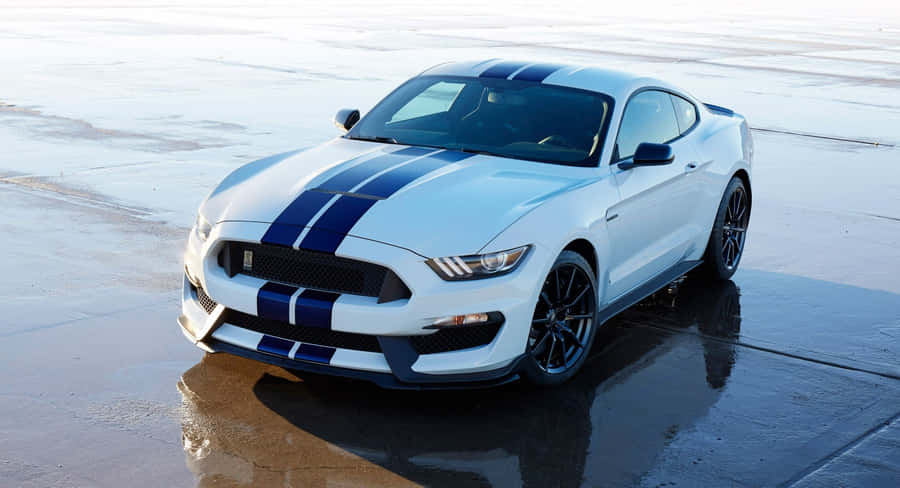 FordMustang Shelby GT350 1920 x 1040 tapet
