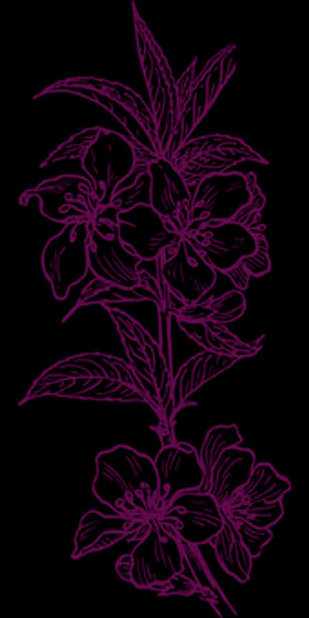 Neon Outline Floral Art