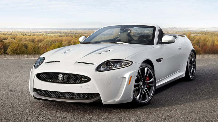 Elegantee potente Jaguar XKR sulla strada