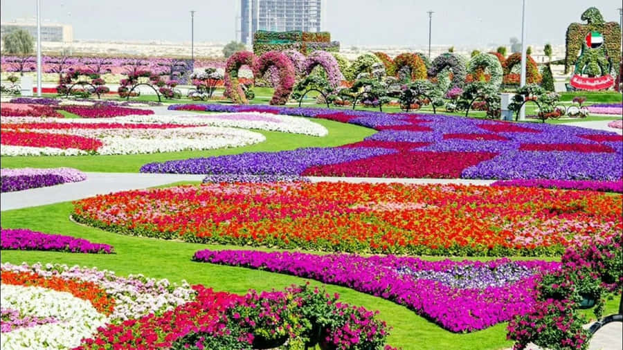 Gåen tur gennem en dejlig blomsterhave.