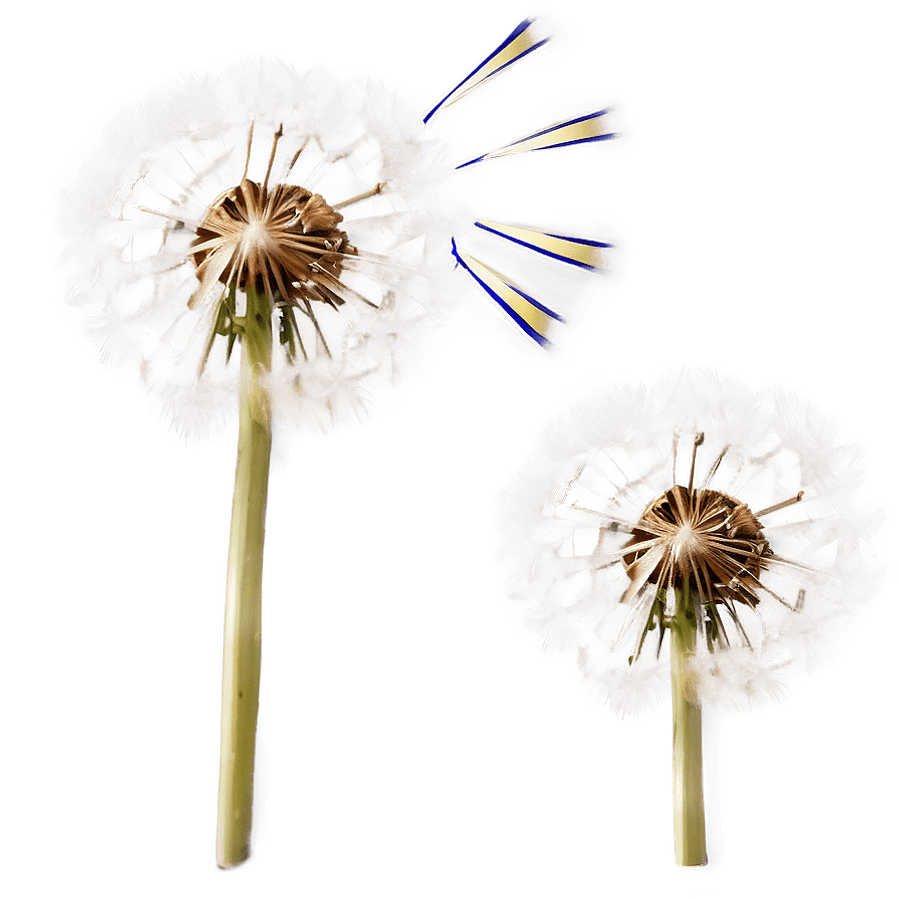 Dandelion in Wind PNG cyb51