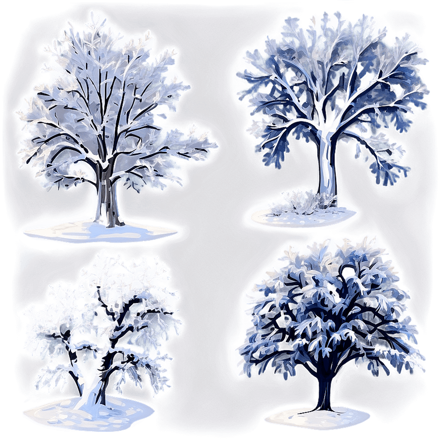 Frosty Snow Covered Trees PNG 81