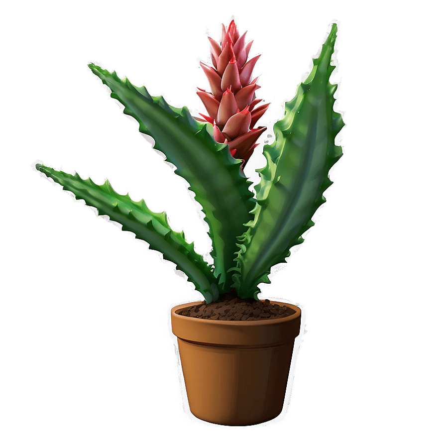 Aloe Vera Potted Plant PNG uuk86