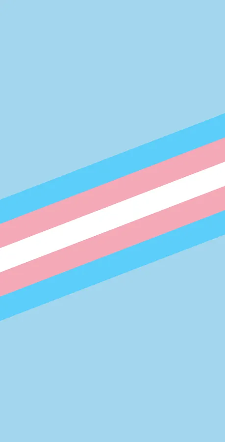 Trans Flag