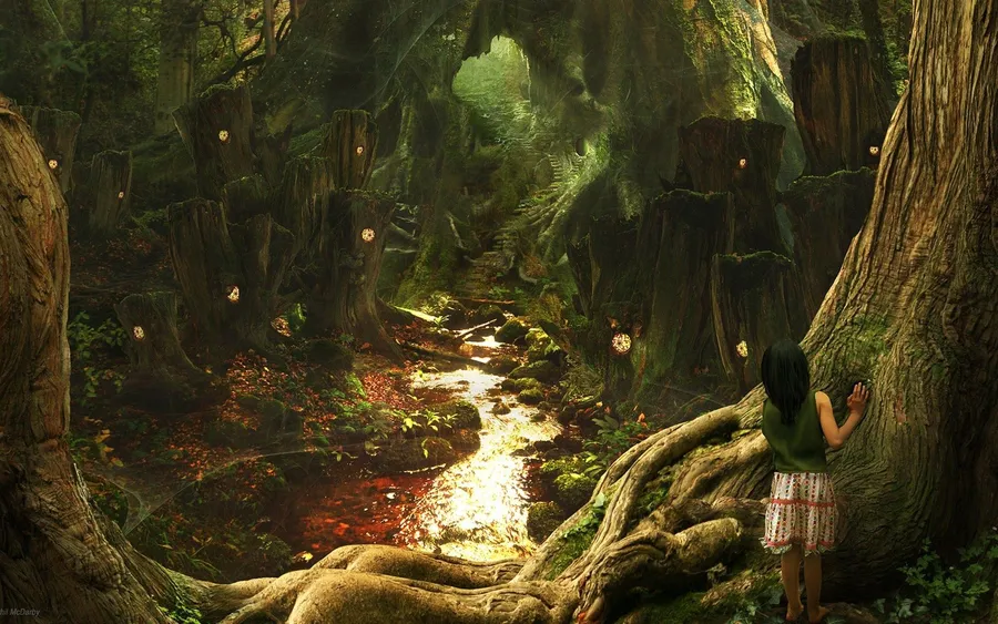 Fairy Forest