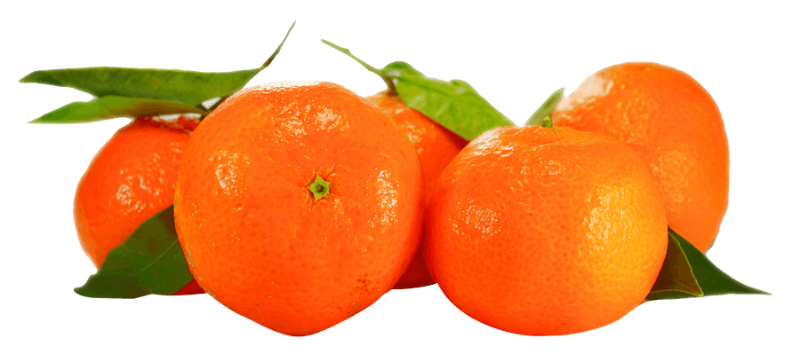 Fresh Orangeswith Leaves