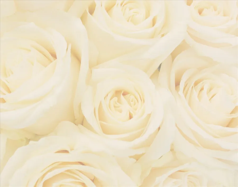 Ivory background