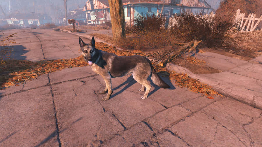 Fallout4 Dogmeat 1920 x 1080 Hintergrundbild