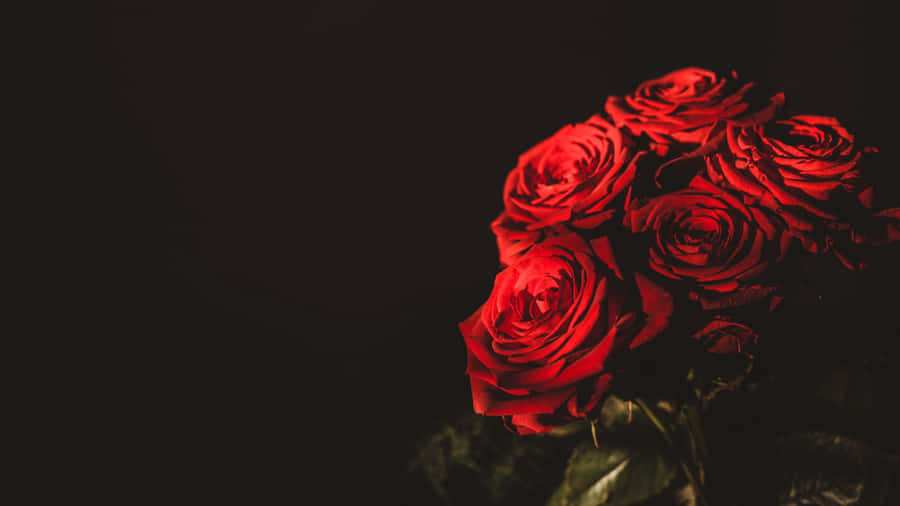 Umabela rosa cor-de-rosa em um agradável dia de primavera.